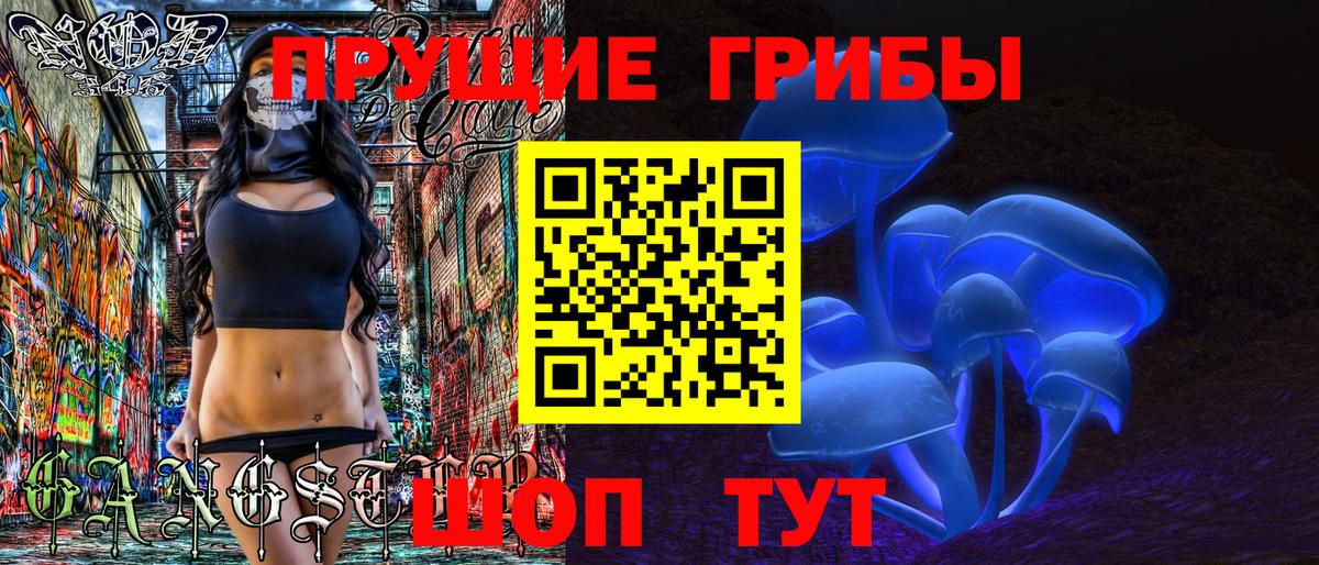 Псилоцибиновые грибы Cubensis  Вход с VPN  Усть-Джегута  Псилоцибиновые грибы Magic Shrooms 